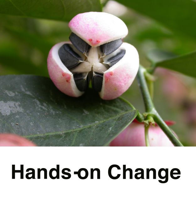 Hands-on-Change
